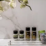 Rex 酒店
